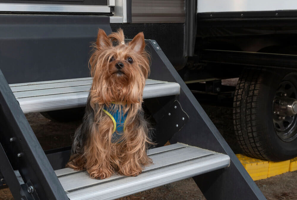 7 of the Best Pet-Friendly RV Parks in Texas